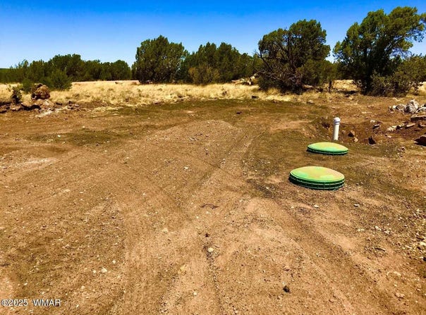 8486 Cannon Boulevard, Show Low, AZ 85901