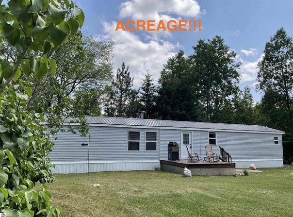 10694 Freeman Road, Mesick, MI 49668