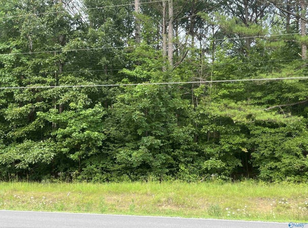 10 Acres Nauvoo Road, Nauvoo, AL 35578