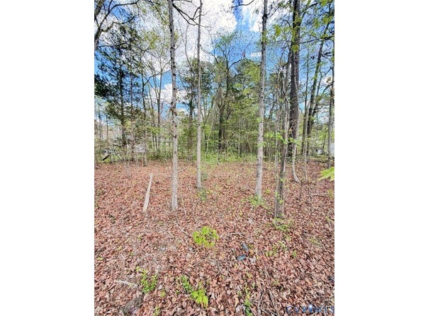 Cedar Grove Road, Lawrenceville, VA 23868