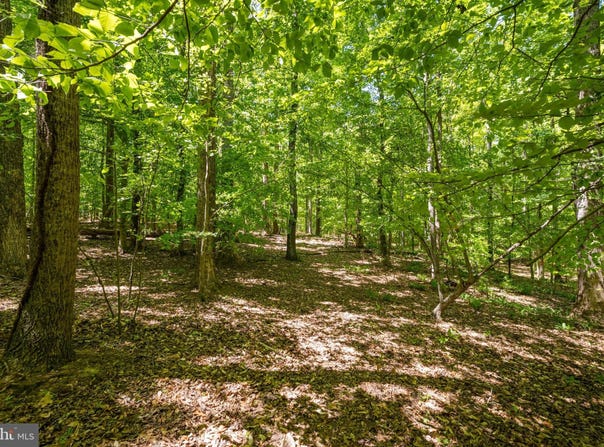 LETCHER Road E, BRANDYWINE, MD 20613