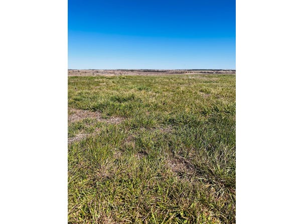 TBD County Road 506, Hamilton, TX 76531