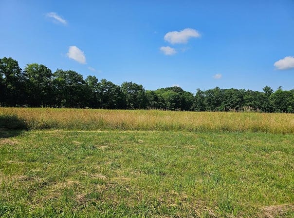 Wagner Rd, Tionesta, PA 16353