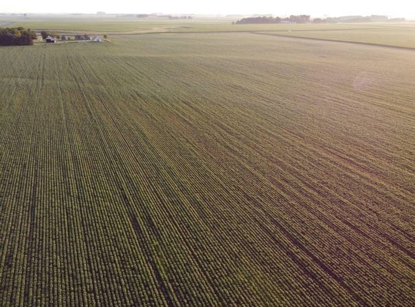 TBD 240th St, Brewster, MN 56119