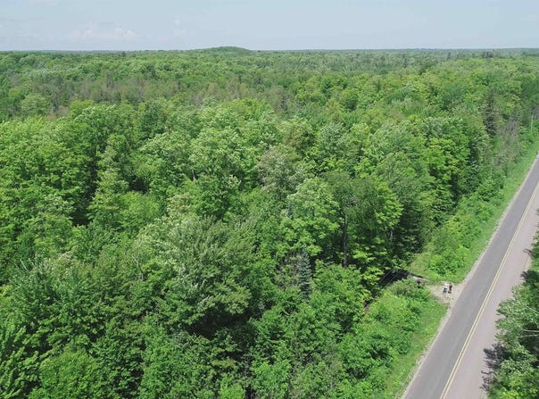40 Acres Maple Grove, Skandia, MI 49885