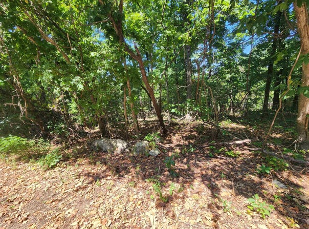 L28, B6 Zia Trace, Cherokee Village, AR 72529