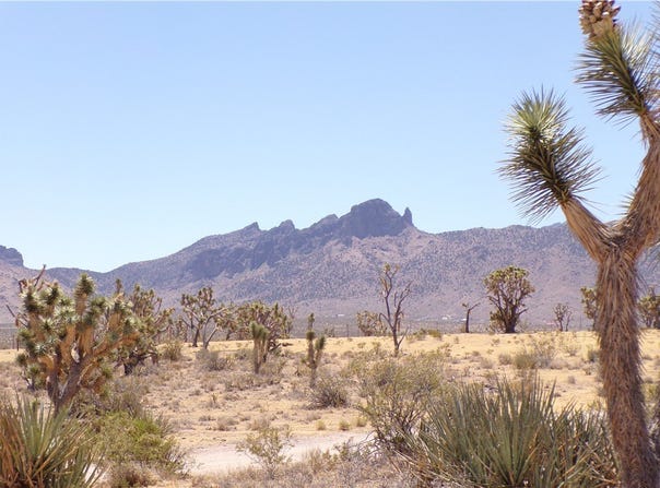 327-05-338 N Lost Mine, Dolan Springs, AZ 86441