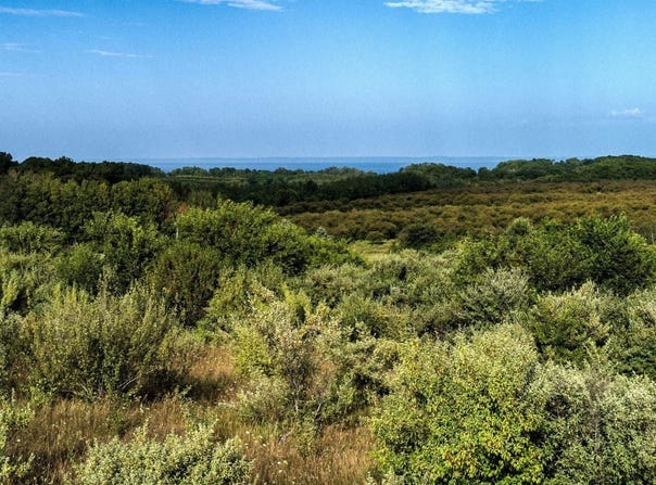 S Overlook Road, Northport, MI 49670