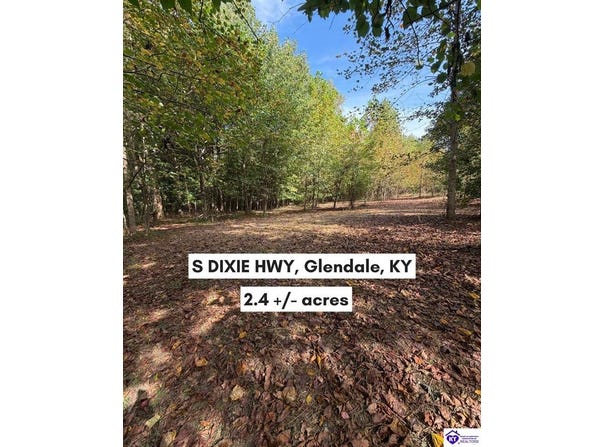 S Dixie Highway lot: Hazelwood Subdivision Lt3, Glendale, KY 42740