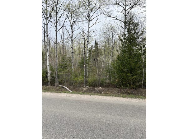 13496 N Mackinaw Highway, Mackinaw City, MI 49701