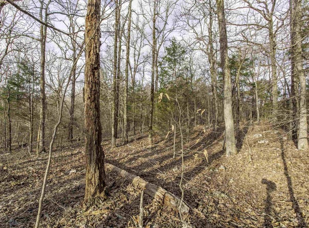 TBD Oak Ridge Road, Hardy, AR 72542