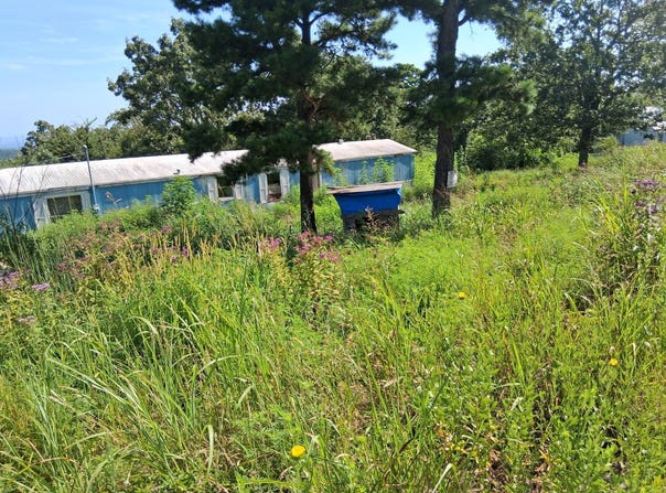 8080 Water Tower Rd, Talihina, OK 74571