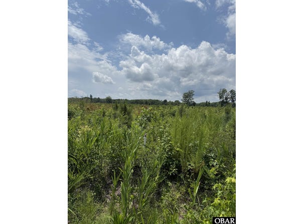 TBD Cove Road, New Hope, NC 27944