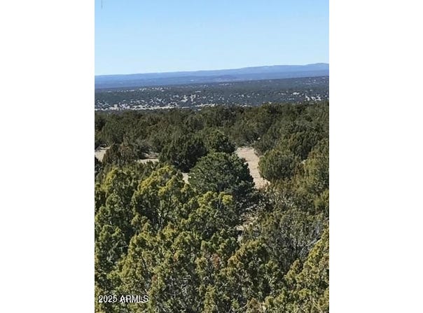 Lot 20 Idlewild Ranch, Concho, AZ 85924