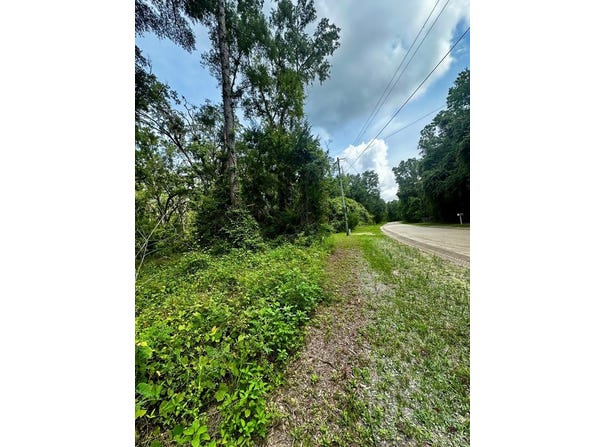 NE 642nd St, Old Town, FL 32680