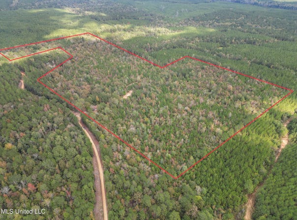 222 Byrd Road, Pinola, MS 39149