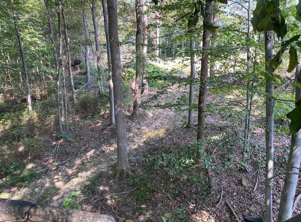 4345 Mt Unger Rd, Otway, OH 45657