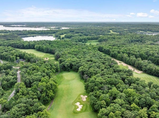Tbd Dog Leg, Pelican Twp, MN 56472