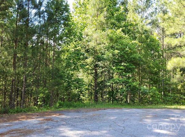 Ashley Court unit: 7, Mill Spring, NC 28756