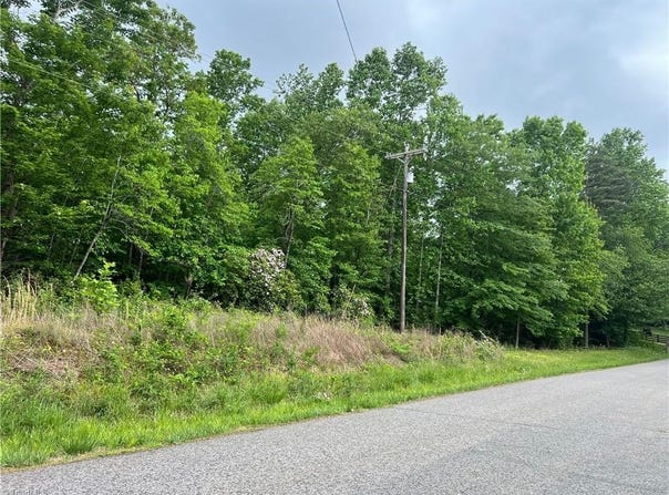 Gillespie Street, Dobson, NC 27017