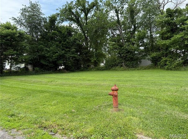 1106 W Gallatin Street, Vandalia, IL 62471