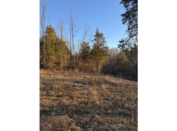 0 Sneakville Rd, Larewnceburg, IN 47025