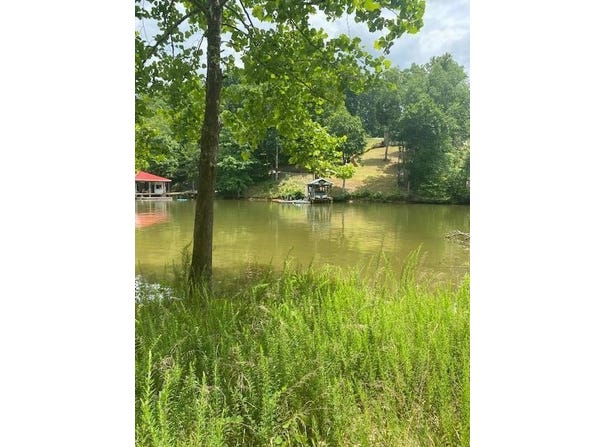 Crestview Rd lot: 96, Wirtz, VA 24184