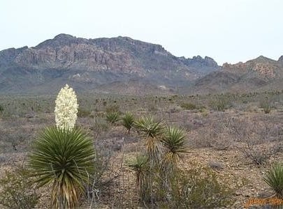 Van Horn, TX 78212