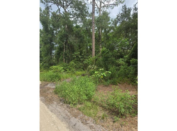 1650 SE 178TH LANE, SUMMERFIELD, FL 34491