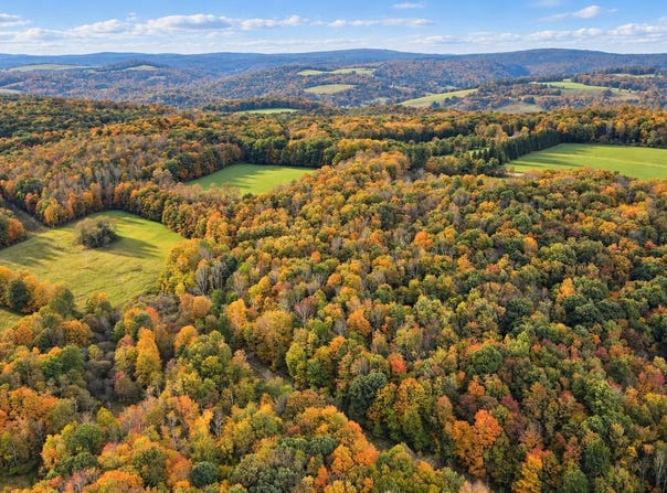 163.12 Acres BITTINGER Road, GRANTSVILLE, MD 21536