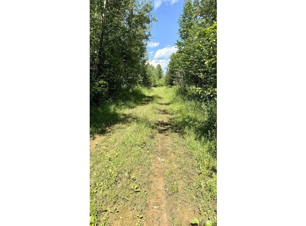 TBD Plantation, Rock, MI 49880