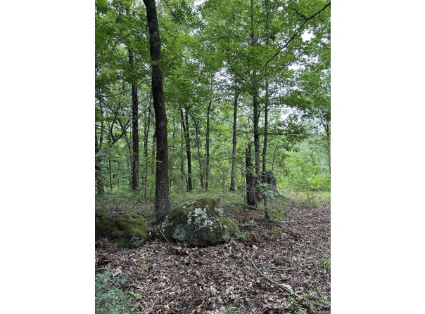 635 Nevada 323, Prescott, AR 71858