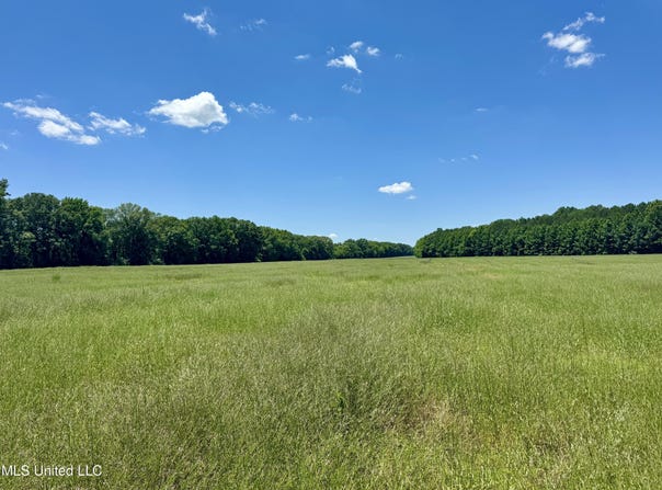 0005 Johnson Line Road, Bolton, MS 39041