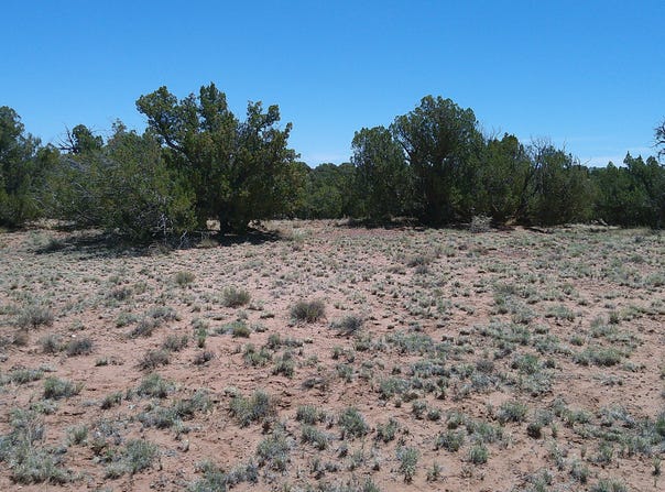 Tbd Rio Ranch, Concho, AZ 85924