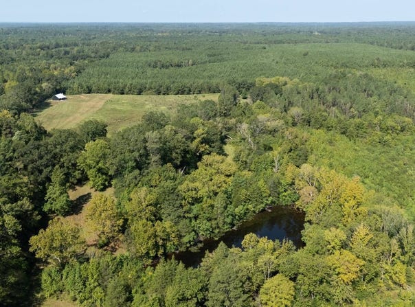 Sams Creek Road, Gallion, AL 36742