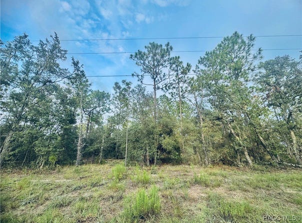SE 136th Terrace, Dunnellon, FL 34431
