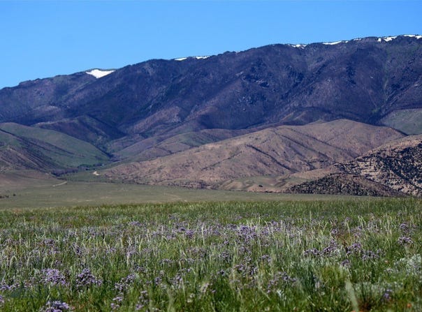 Stagecoach Spur W, Belfry, MT 59008