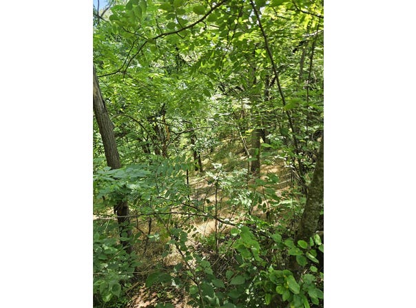 3 acres MOSSY CREEK RD, MOUNT SOLON, VA 22843