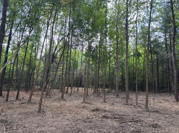 HWY 346, THAXTON, MS 38871