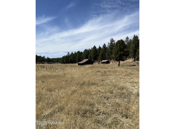 Lot B Forest Road 26, Alpine, AZ 85920