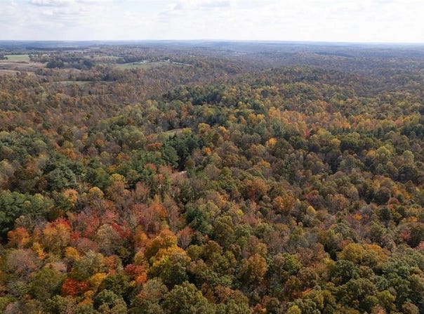 Askins Road, Fordsville, KY 42343