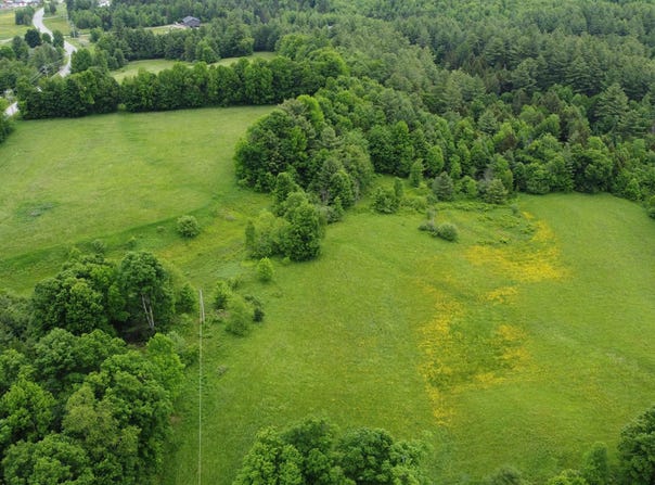 Route 100 lot: 9, Lowell, VT 05847