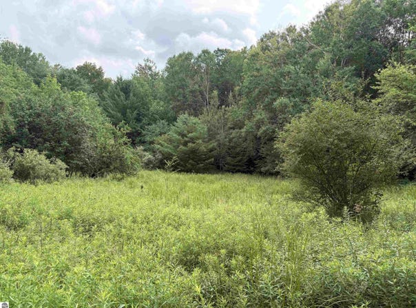 11546 E 3 1/2 Road, Luther, MI 49656