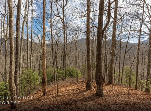 Cullowhee Forest Road lot: 55, Cullowhee, NC 28723