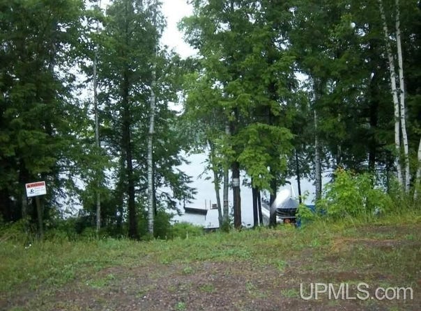 Off Chaney Shores, Bessemer, MI 49911