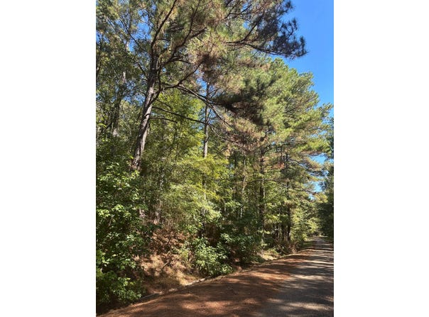 A Milville Rd., Canton, MS 39046