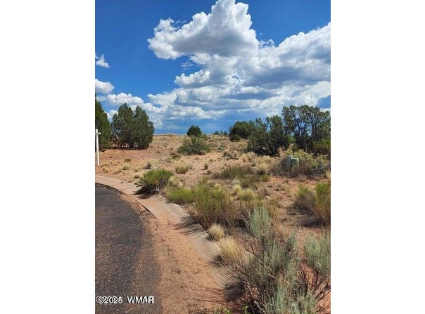 1479 W Tumbleweed Trail, Snowflake, AZ 85937