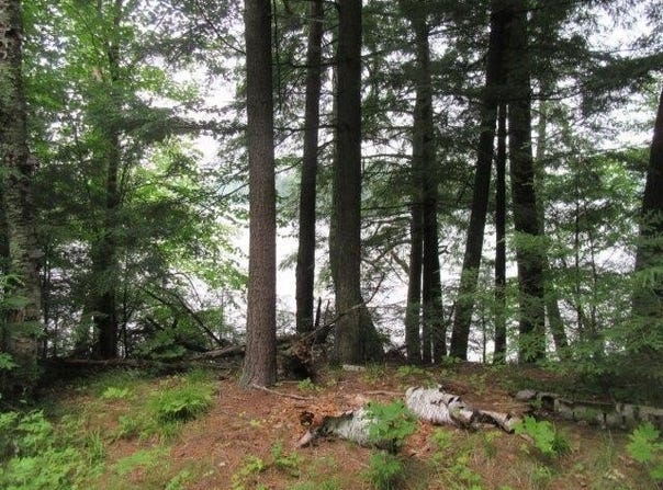 On ARBOR LN, WI 54538