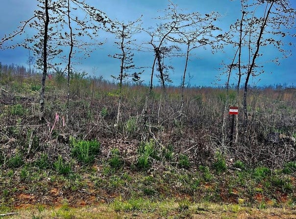Tract B Co Rd 123, Wedowee, AL 36278