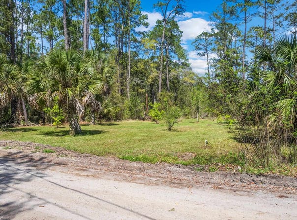 River Drive, Panacea, FL 32346